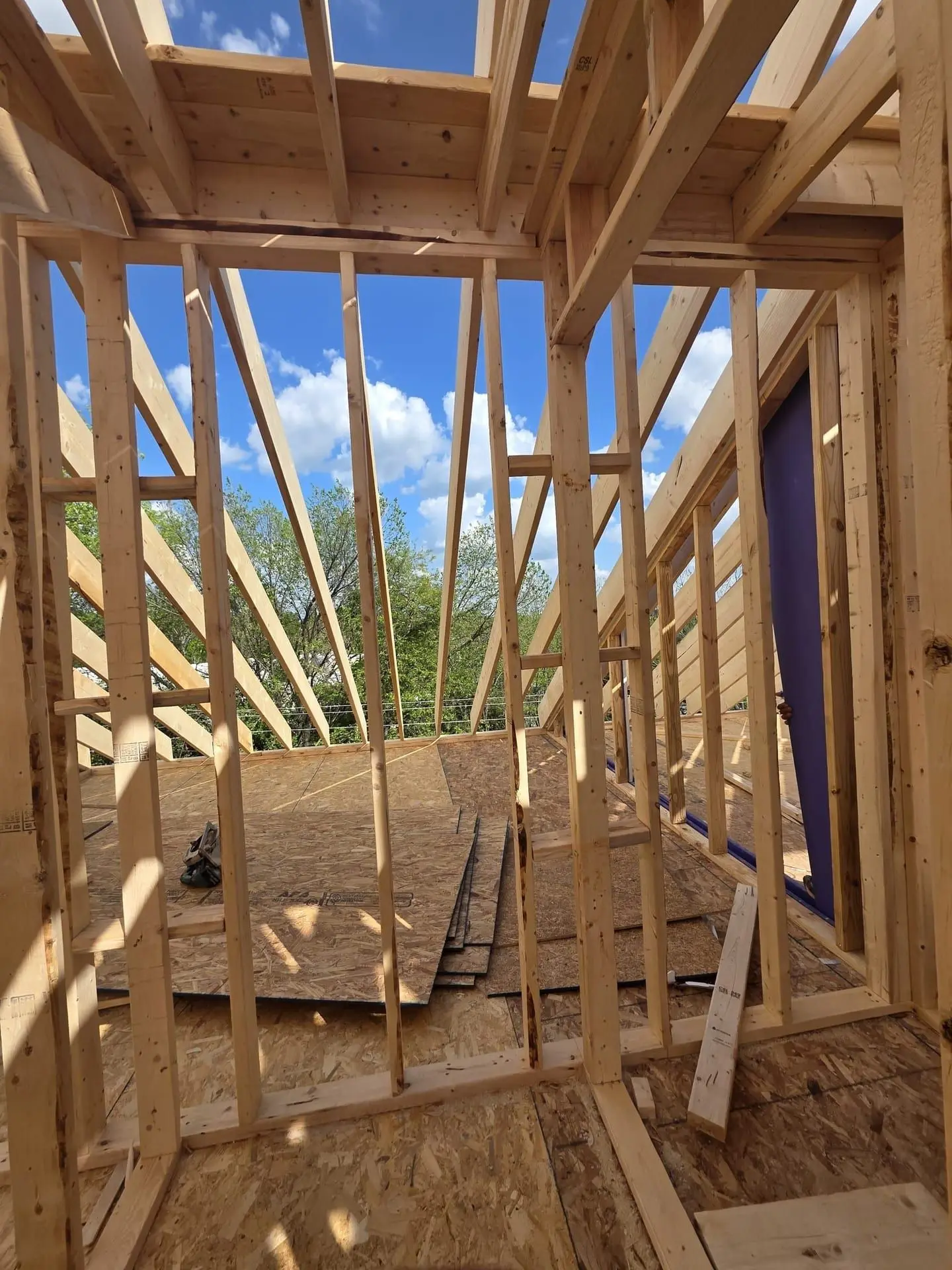 Open wood framing of a new structure, roof rafters against a clear sky